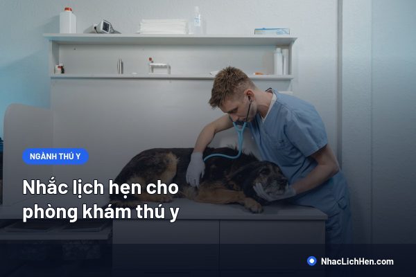 Nhắc Lịch Hẹn Cho Phòng Khám Thú Y: Tiêm Phòng, Tái Khám Và Cách Nhắc Chủ Nuôi