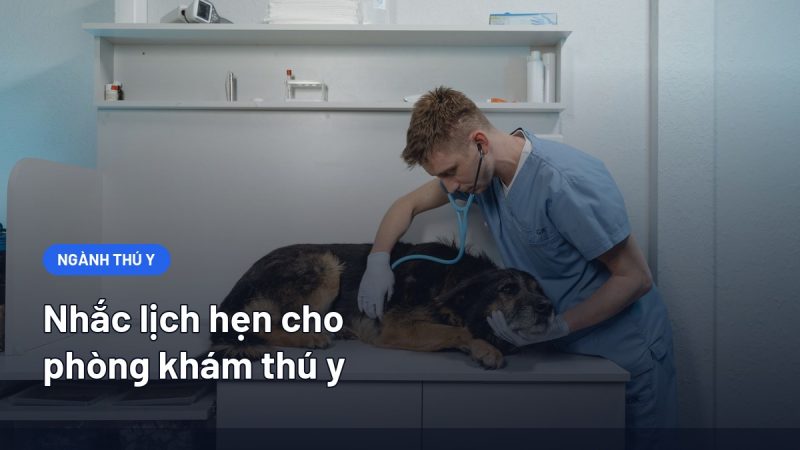 Nhắc Lịch Hẹn Cho Phòng Khám Thú Y: Tiêm Phòng, Tái Khám Và Cách Nhắc Chủ Nuôi