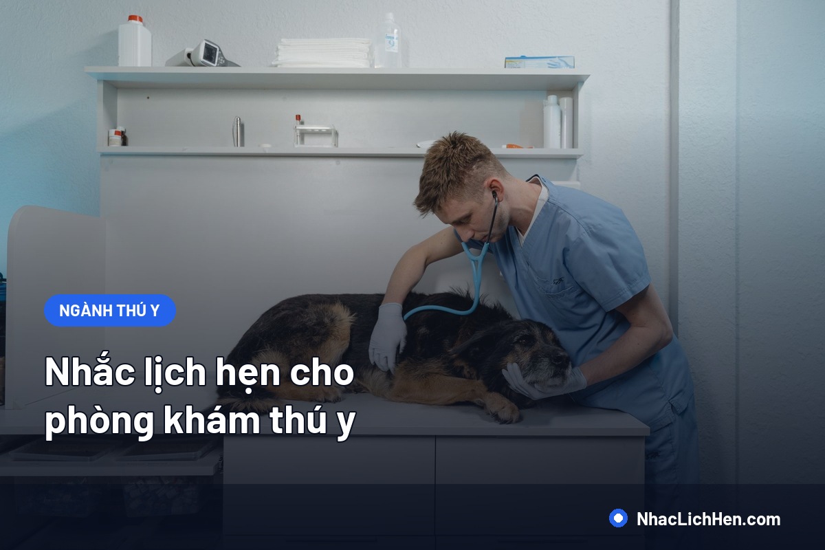 Nhắc Lịch Hẹn Cho Phòng Khám Thú Y: Tiêm Phòng, Tái Khám Và Cách Nhắc Chủ Nuôi